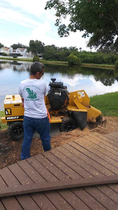 Rivero tree service and demolition